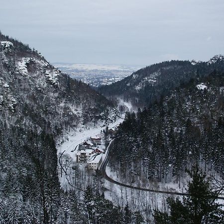 דירות Wohlfuehlzeit Im Zittauer Gebirge מראה חיצוני תמונה