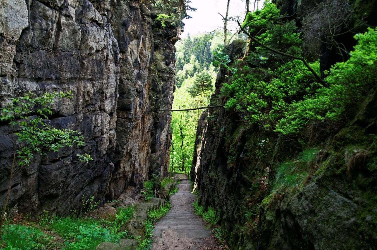 דירות Wohlfuehlzeit Im Zittauer Gebirge מראה חיצוני תמונה
